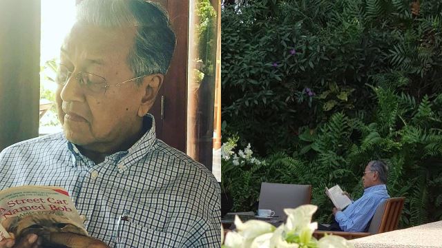 mahathir-and-a-street-cat-named-bob.jpg