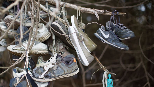 i-found-this-mysterious-forest-full-of-shoes-5a91ef9766565__2.jpg