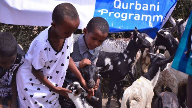 640-salamqurbani.png