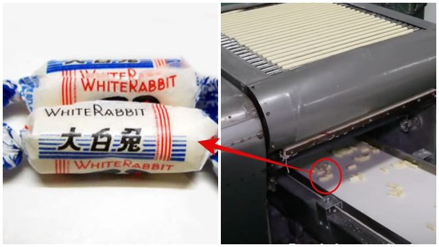 whiterabbit-640.jpg