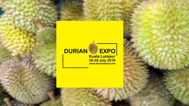 durian-expo-1_2.png
