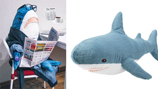 shark7.png