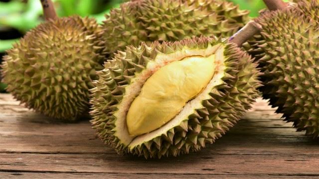 durian-main.jpg