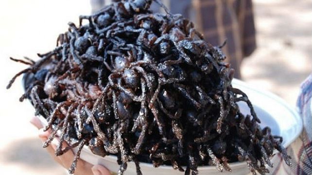 makananpelik640.jpg