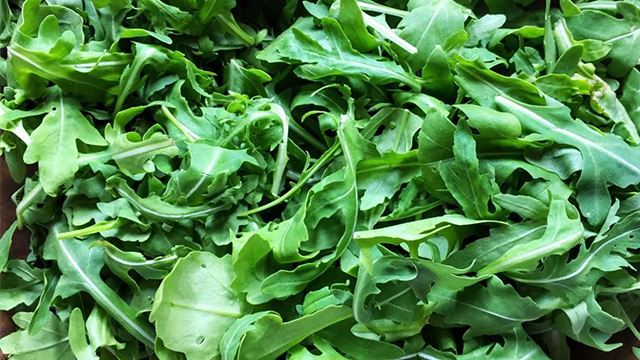 arugula_1.png