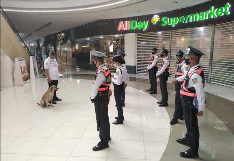 security_dog_philippines_1.jpg