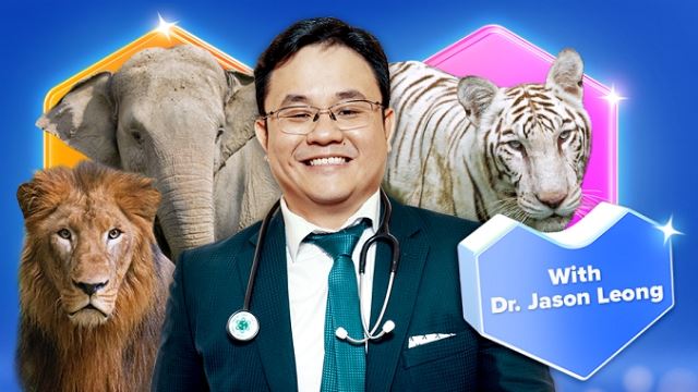 zoo-negara-lazlive-with-jason-leong-2.jpg