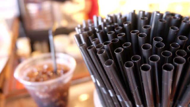 plastic_straws_0407_-1-600_1.jpg