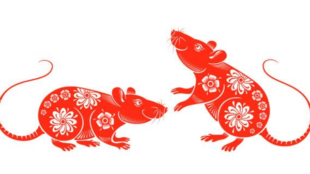 chinese-new-year-rat-2020-adobestock_275823449-600x319_1.jpg