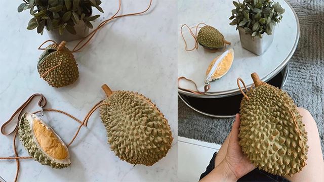 bag-durian_1.png