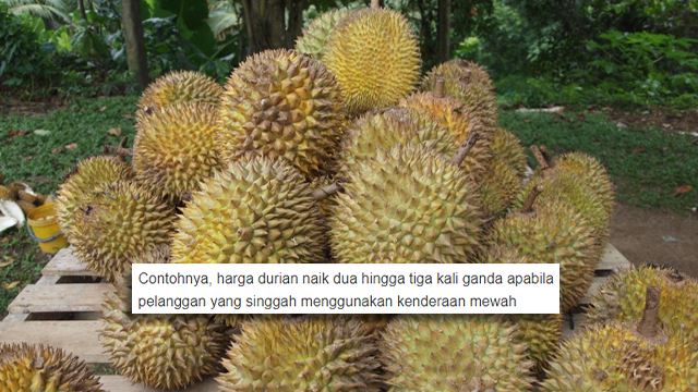 durian640.png