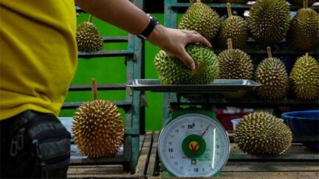 durian_1.png
