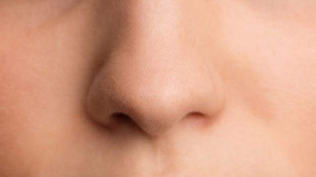 nose-640.png
