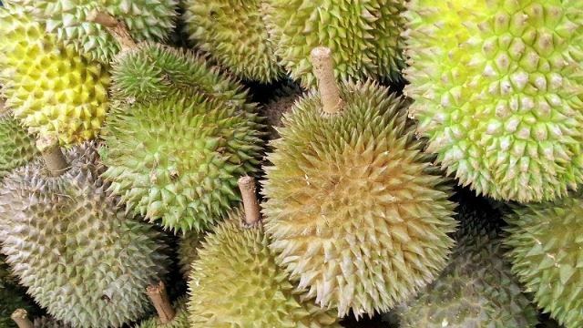 durian-2.jpg