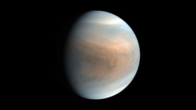 venus-2.jpg