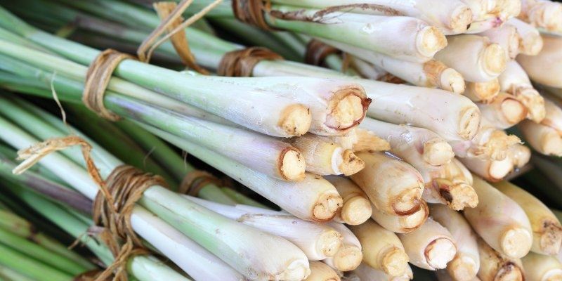 牙痛超难受！教你4招帮你减缓牙痛，这方法有效！