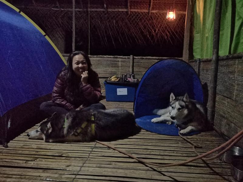 former corporate highflyer now dedicates her time for rescue jobs