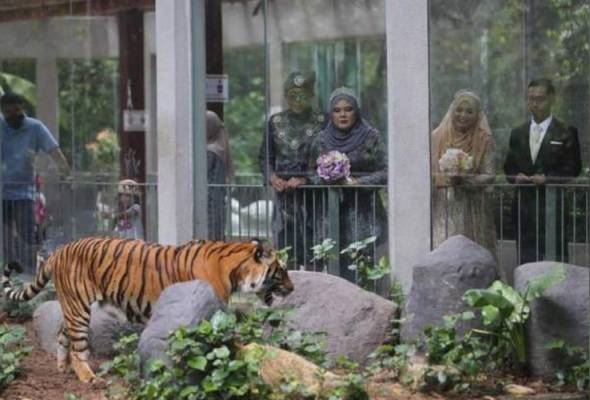 boleh buat majlis perkahwinan di zoo negara? biar betul!