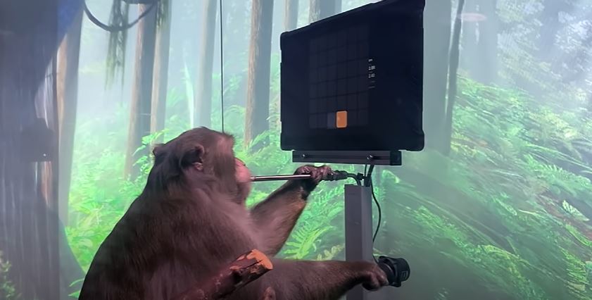 impian elon musk gabung otak dengan komputer jadi realiti