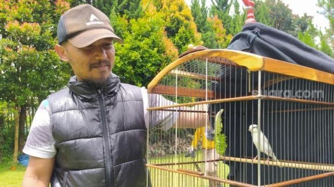 lelaki buka sekolah ajar burung tiru pelbagai suara