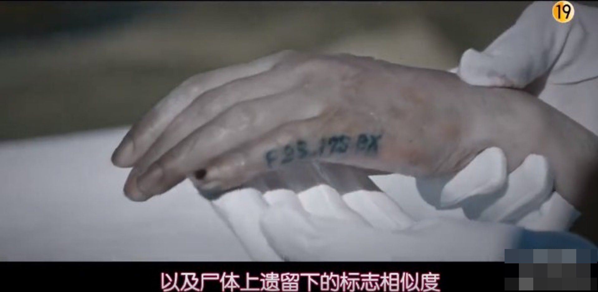 现在最红韩剧❗️《mouse窥探》改编真实案件❗️连环割头案场面惊悚😱