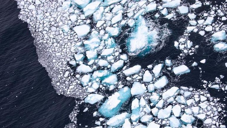 the world’s biggest iceberg has almost completely melted
