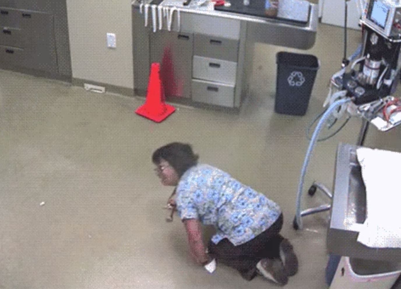 vet nurse “rides” on dog's back after it tried to avoid an injection