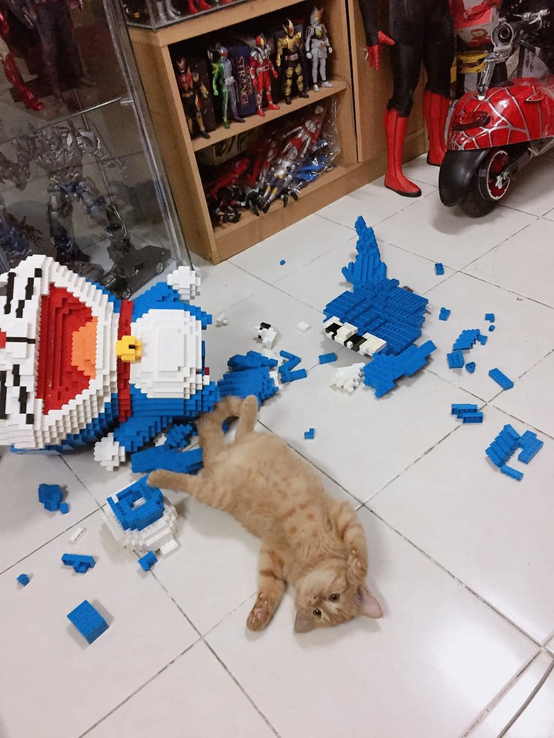 this cat destroyed a doraemon figurine that her owner spent a week building!