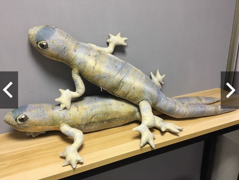 nampak macam betul, bantal cicak ini laris dijual atas talian