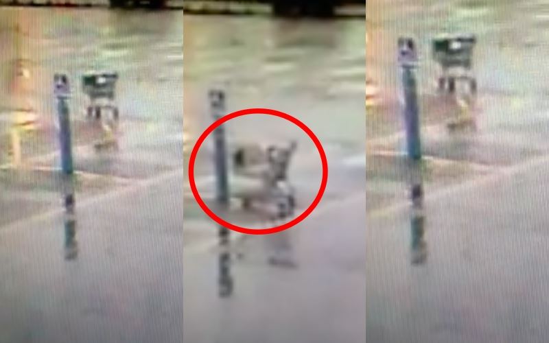 meremang! netizen kecoh troli gerak sendiri di kawasan parkir pusat membeli belah