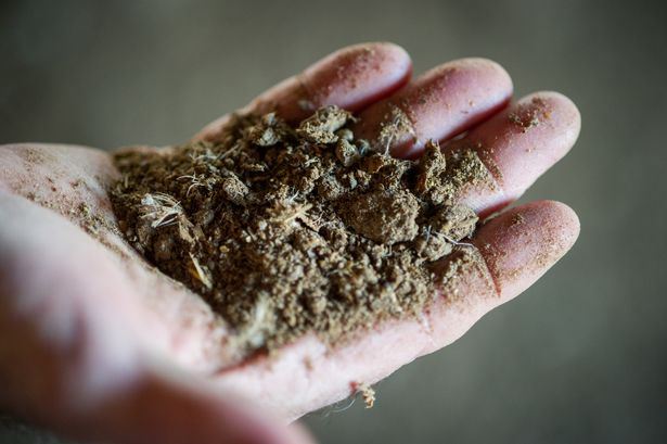 sampai tak boleh buka tingkap, penduduk tak tahan bau tahi ayam