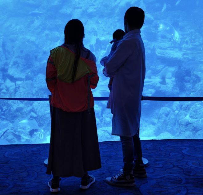 向佐、郭碧婷晒女儿新照❗️一家三口好有爱温馨❤️