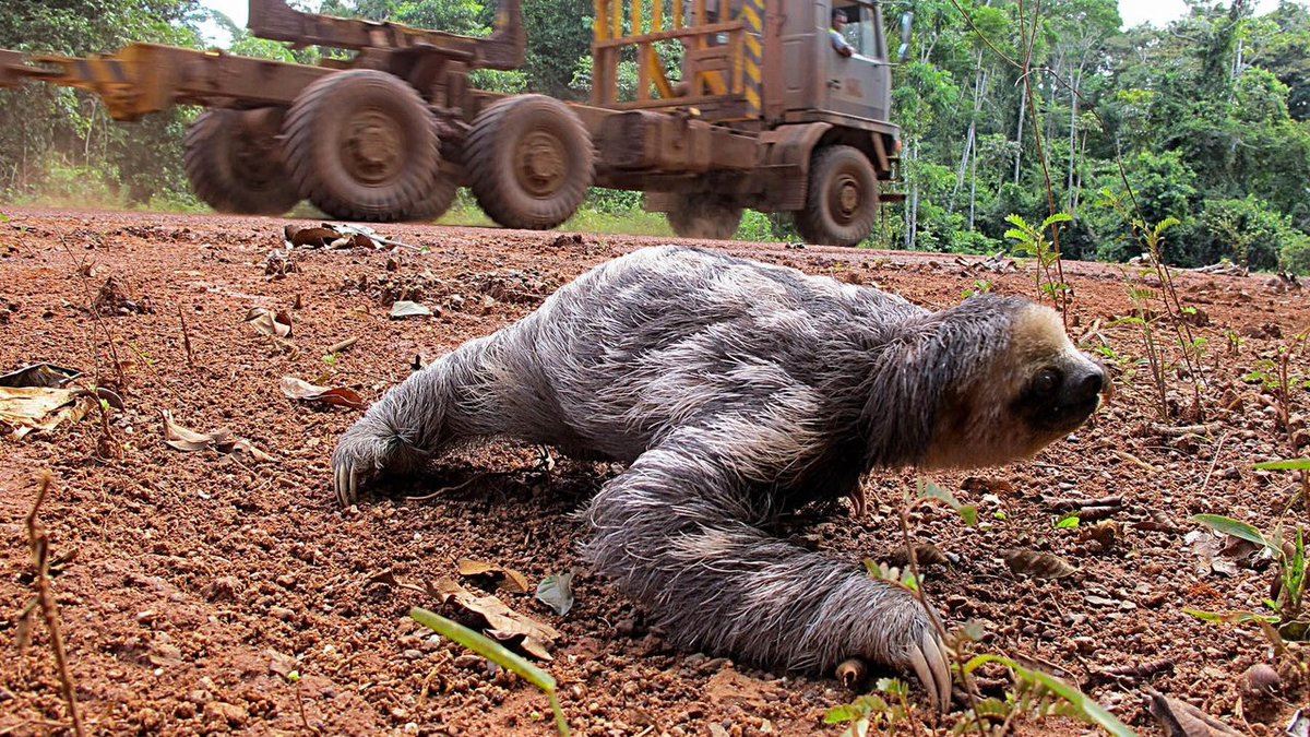 menurut saintis, manusia telah rosakkan tanah bumi sebanyak 97%
