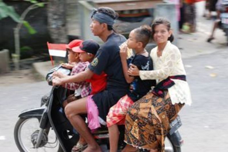 to honk or not to honk?