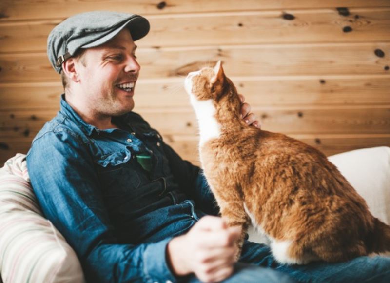 your cats really do love you even when they don’t show it!