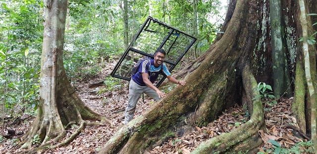 the malaysian conservationist who’s changing the world one step at a time