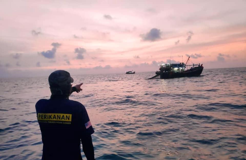 wujud cubaan lepaskan ikan piranha dalam sungai di malaysia?