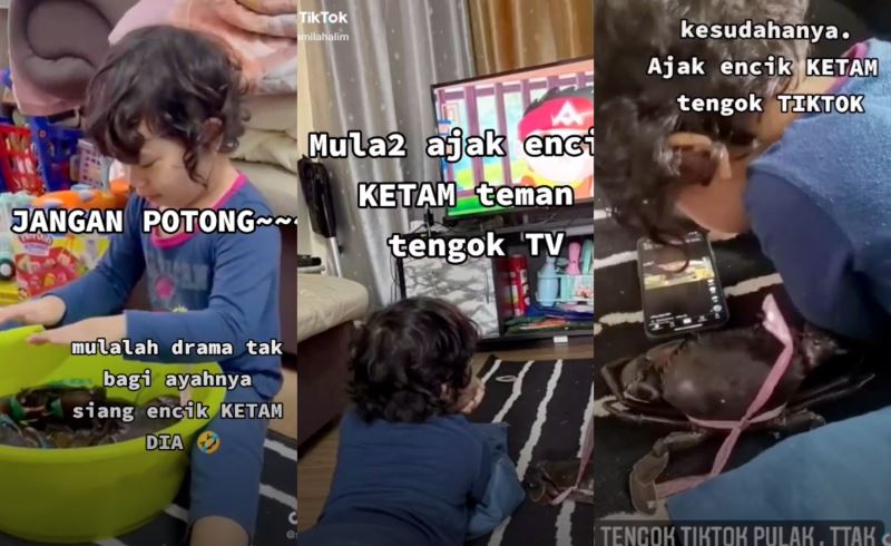 video of young girl befriending a ketam gone viral and it’s adorable!