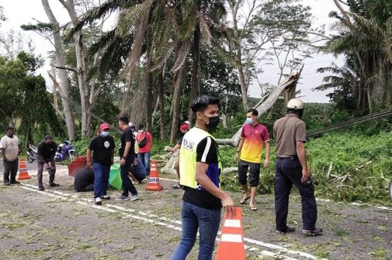 food delivery rider injured by fallen tree in johor
