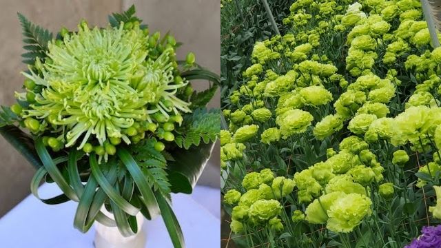 tokyo 2020: jambangan bunga olimpik selami kisah duka peristiwa di jepun