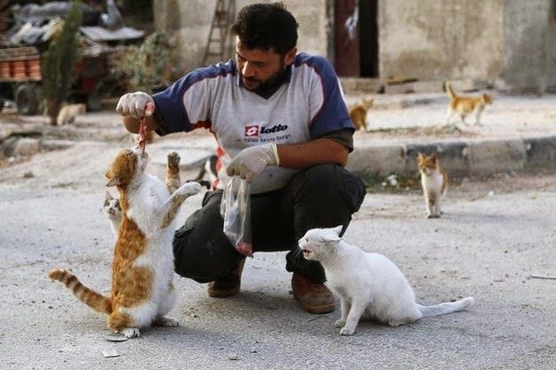 tuntutan berakhlak mulia, manfaat berbuat baik sesama insan termasuk haiwan