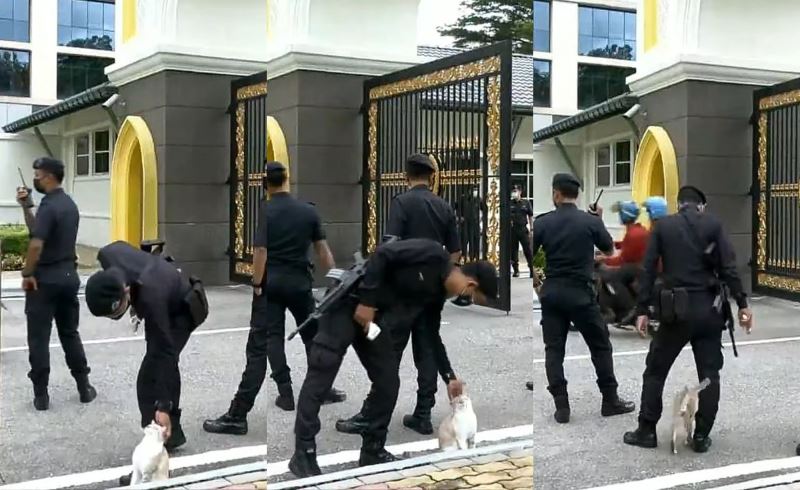 eyes were on istana negara, but this adorable furball stole our hearts instead!