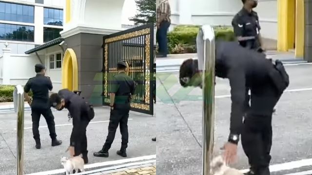 aksi ‘si comel’ dibelai anggota polis ketika bertugas raih tumpuan netizen