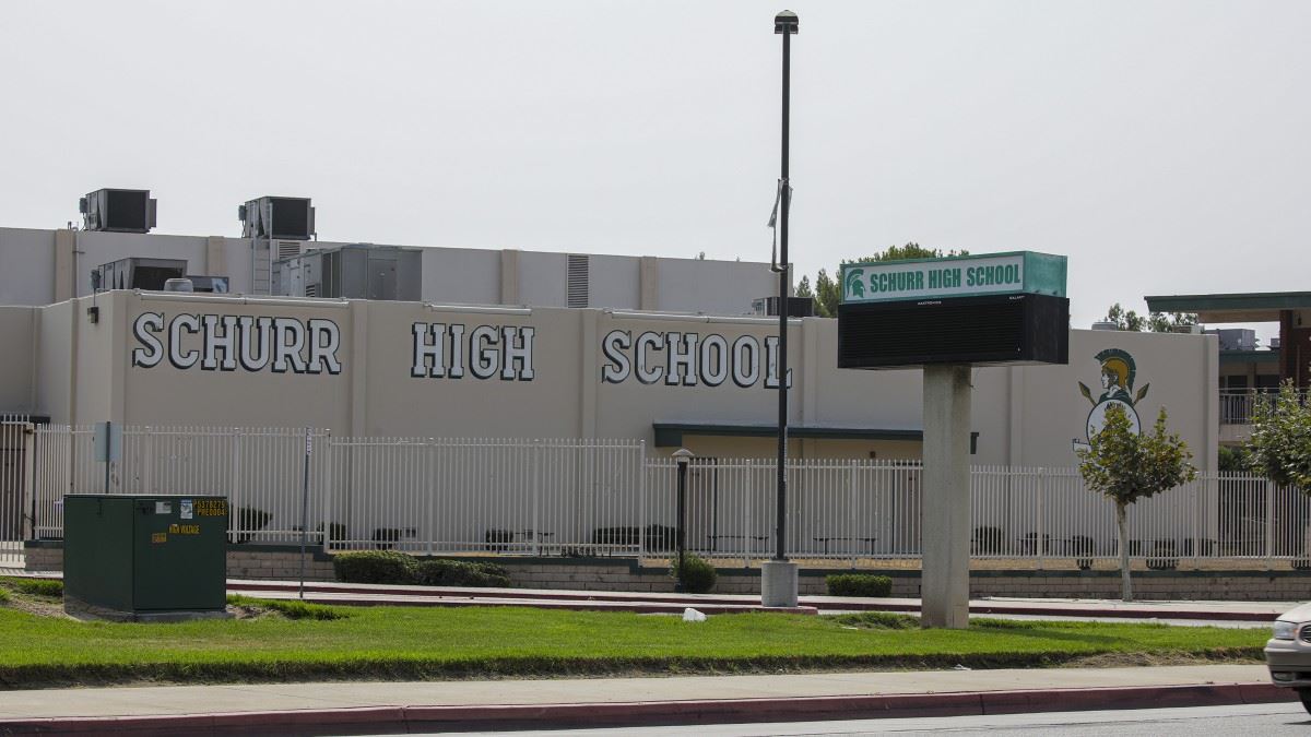 tikus gergasi ambil alih sekolah selepas lama sangat tutup