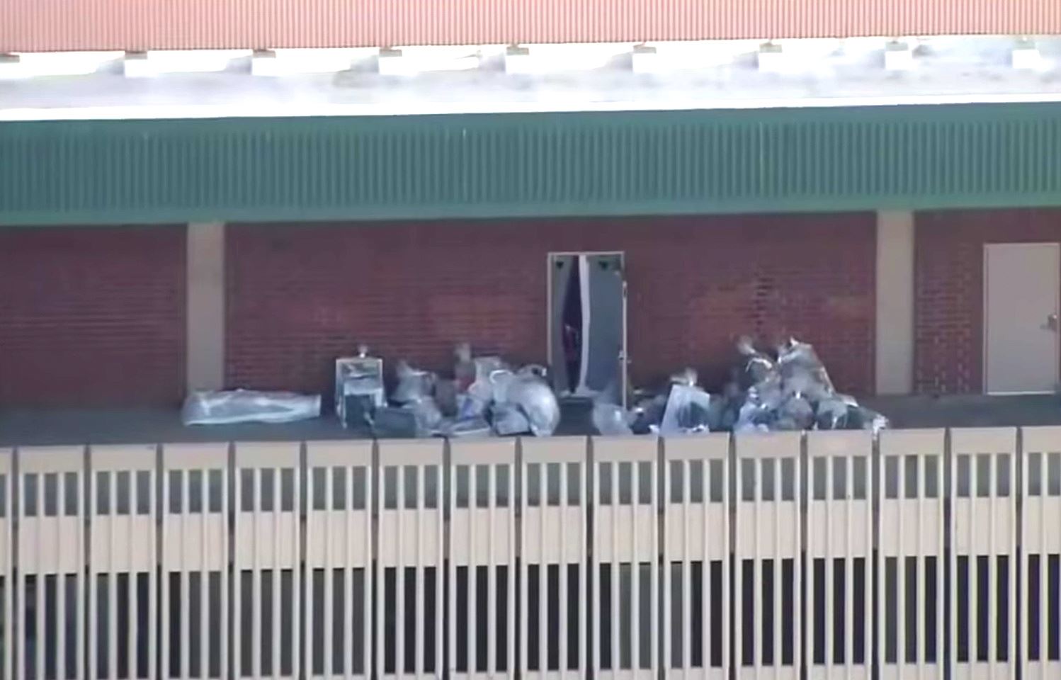 tikus gergasi ambil alih sekolah selepas lama sangat tutup