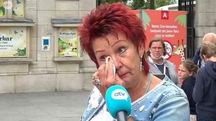 wanita dilarang datang lagi ke zoo lepas bercinta dengan cimpanzi