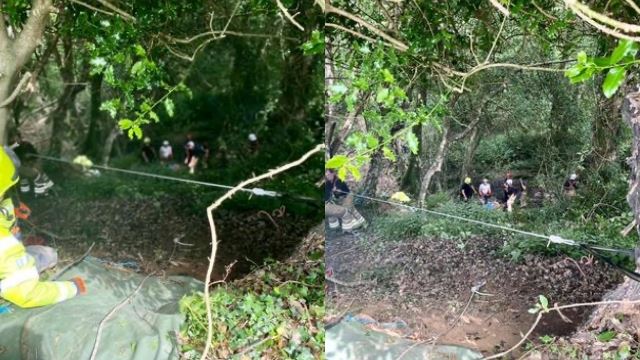 bunyi suara ‘meow’ kucing selamatkan warga emas terkandas dalam sebuah lubang