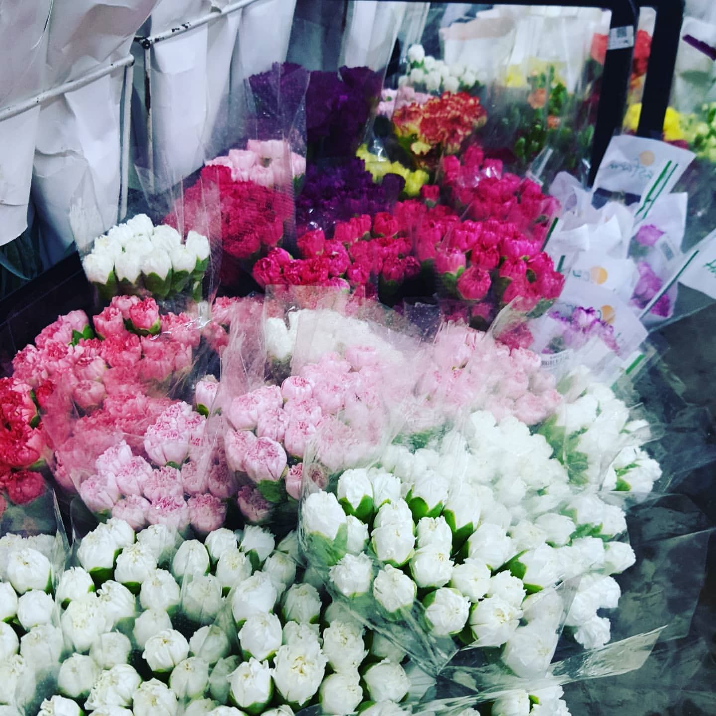 【kl最大鲜花批发】什么花都有～超便宜！买来插花❤️