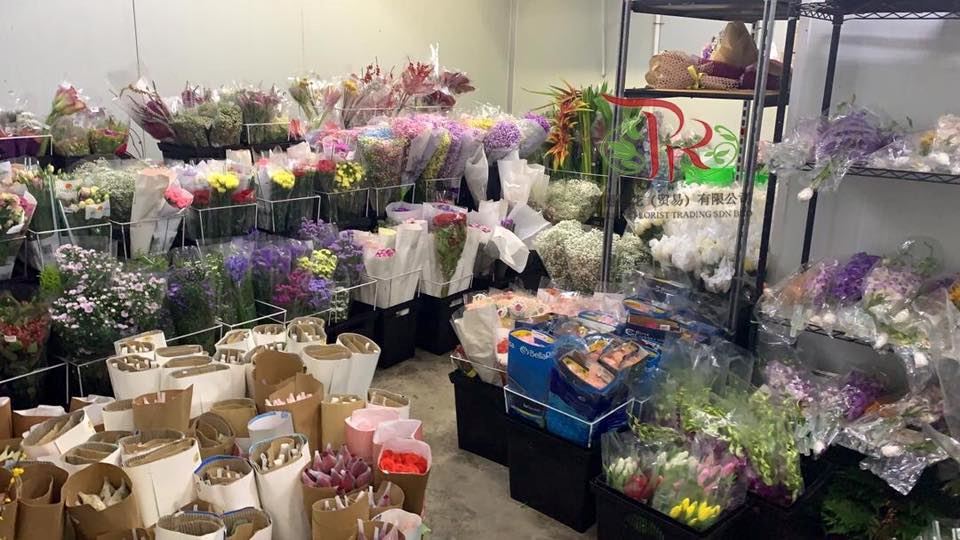 【kl最大鲜花批发】什么花都有～超便宜！买来插花❤️