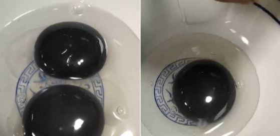 kuning telur angsa warna hitam cetus tanda tanya pakar